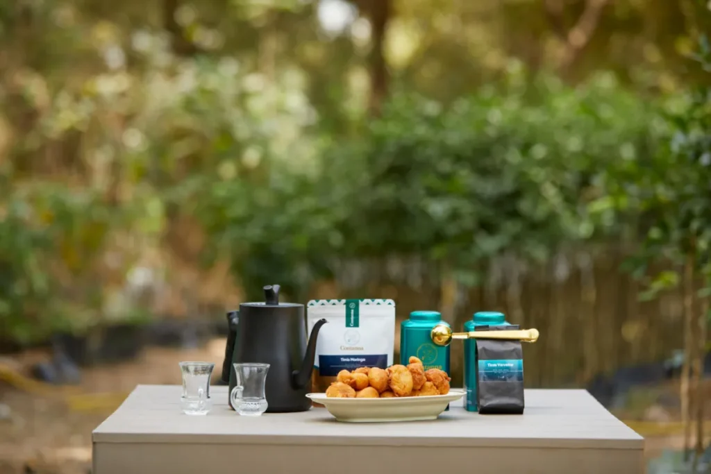 Contanna 5Q2A9400 scaled