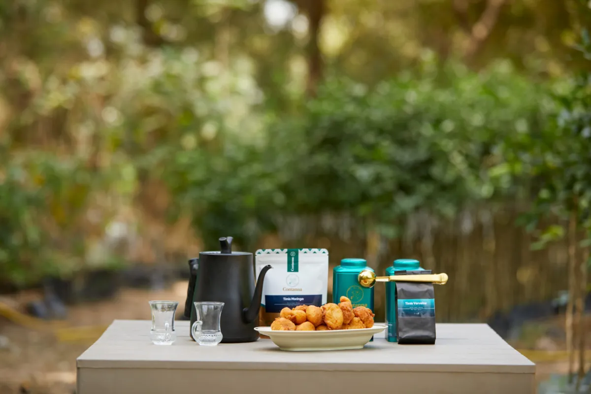 Contanna 5Q2A9400 scaled