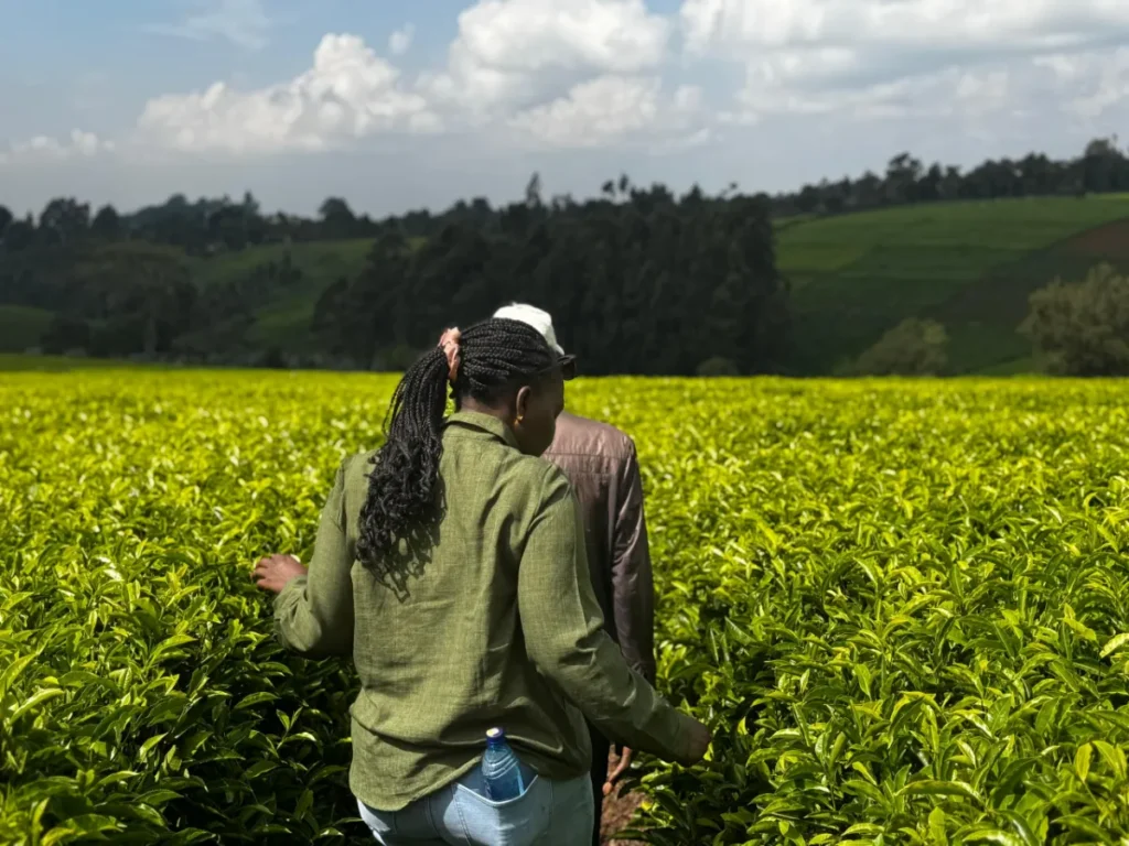 Contanna WhatsApp Image 2025 09 16 at 13 16 55 3