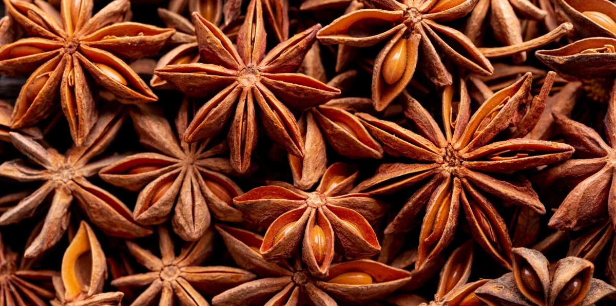 Graines d'anis vert (Pimpinella anisum) séchées — plante médicinale digestive et hormonale utilisée depuis l'Antiquité