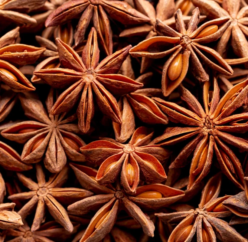 Graines d'anis vert (Pimpinella anisum) séchées — plante médicinale digestive et hormonale utilisée depuis l'Antiquité