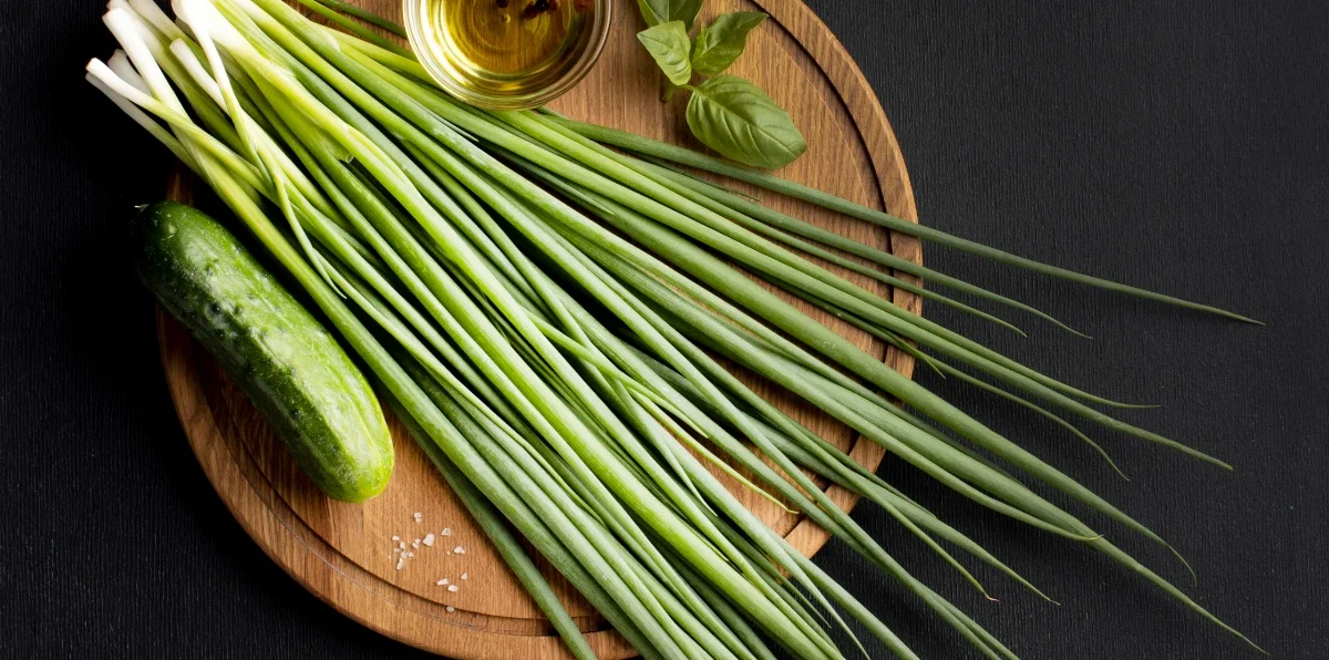 Tiges fraîches de citronnelle (Cymbopogon citratus) — plante aromatique tropicale répulsive naturelle contre les moustiques