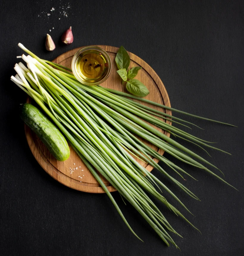 Tiges fraîches de citronnelle (Cymbopogon citratus) — plante aromatique tropicale répulsive naturelle contre les moustiques