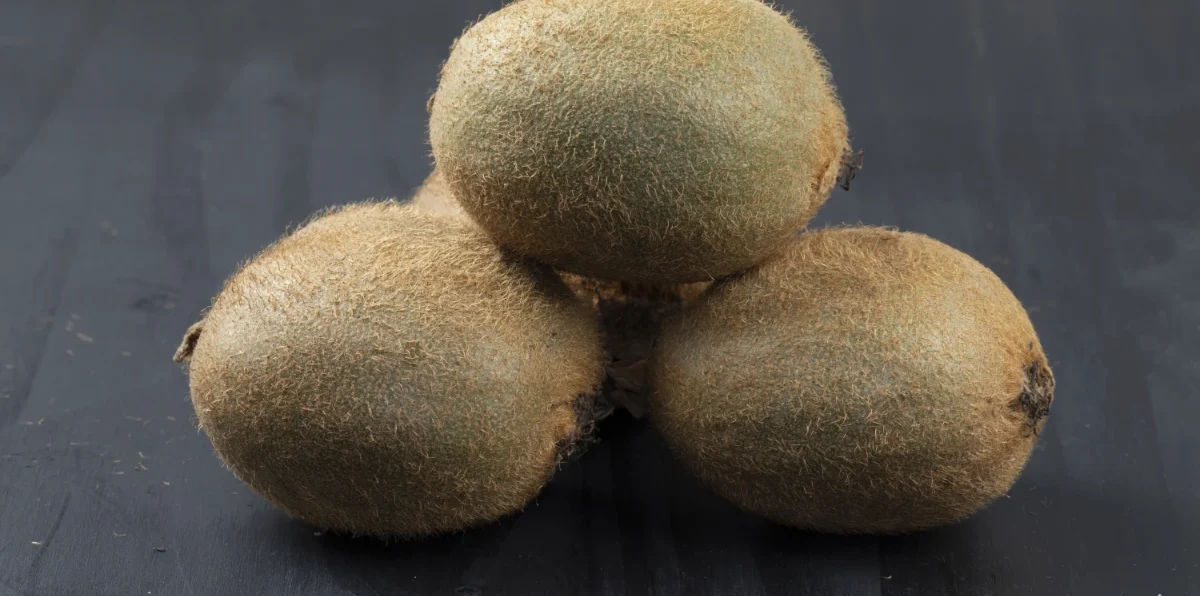 Feuilles et branches de Reub Reub (Boscia senegalensis) — arbuste médicinal du Sahel aux propriétés anti-inflammatoires et vermifuges